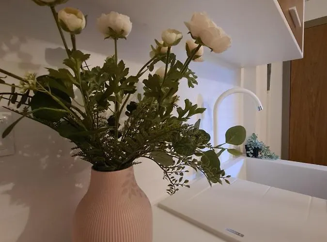Alkion Boutique Living Apartahotel